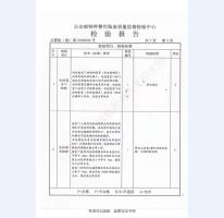 監(jiān)室門檢驗報告-1