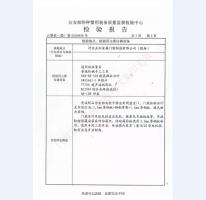 監(jiān)室門檢驗報告-1